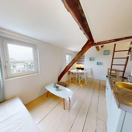 Chaleureux - Quai De L'ile Apartment *